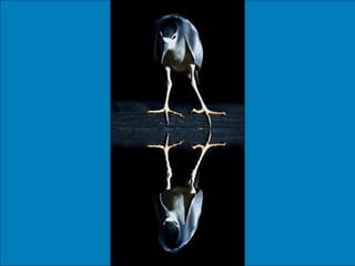 German salon photography ____1 (1)