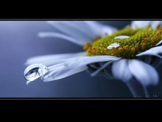 German salon photography ____1 (1)