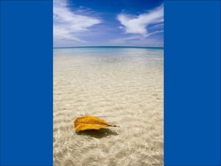 German salon photography ____1 (1)