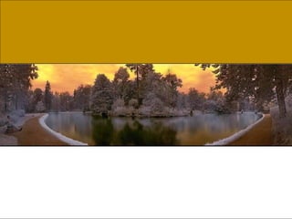 German salon photography ____1 (1)