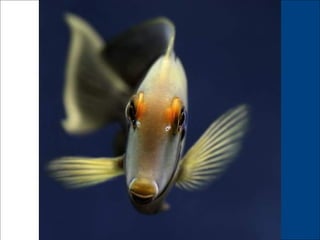 German salon photography ____1 (1)