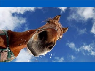 German salon photography ____1 (1)