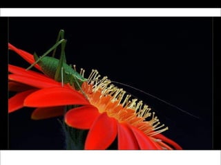 German salon photography ____1 (1)