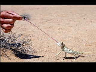 German salon photography ____1 (1)