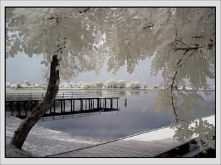 German salon photography ____1 (1)