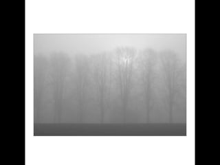 German salon photography ____1 (1)