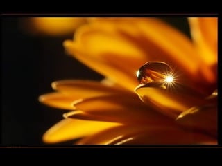 German salon photography ____1 (1)