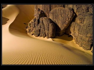 German salon photography ____1 (1)