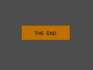 THE  END 