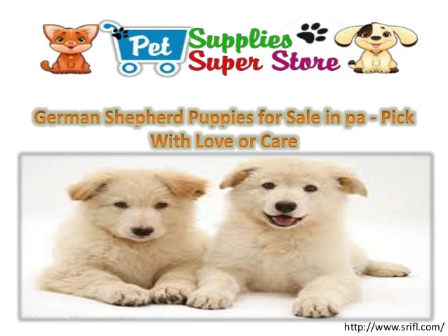 German Shepherd Puppies For Sale In Pa Pick With Love Or Care
