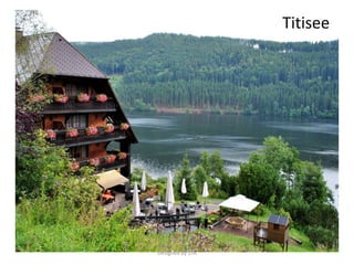 Titisee
Designed by STA
 