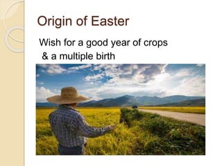 Origin of Easter
Wish for a good year of crops
& a multiple birth
 