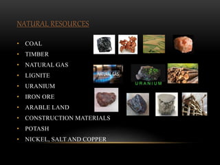 • COAL
• TIMBER
• NATURAL GAS
• LIGNITE
• URANIUM
• IRON ORE
• ARABLE LAND
• CONSTRUCTION MATERIALS
• POTASH
• NICKEL, SALT AND COPPER
NATURAL RESOURCES
 