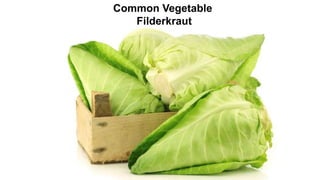 Common Vegetable
Filderkraut
 