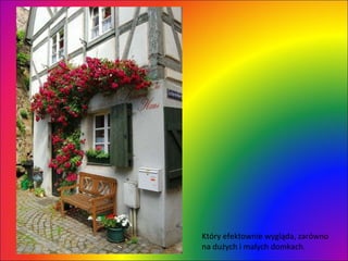 Który efektownie wygląda, zarówno na dużych i małych domkach.  