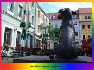 Co niektóre są nawet intrygujące.  