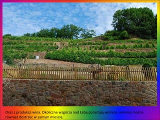 Oraz z produkcji wina. Okoliczne wzgórza nad Łabą porastają winnice, winnice można również dostrzec w samym mieście.  