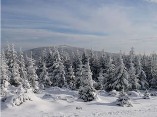 Harz
 