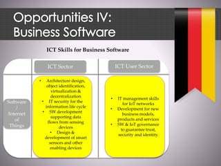 ICT Sector ICT User Sector
Software
/
Internet
of
Things
• IT management skills
for IoT networks
• Development for new
business models,
products and services
• SW & IoT governance
to guarantee trust,
security and identity.
• Architecture design,
object identification,
virtualization &
decentralization
• IT security for the
information life cycle
• SW development
supporting data
flows from sensing
devices
• Design &
development of smart
sensors and other
enabling devices
ICT Skills for Business Software
 