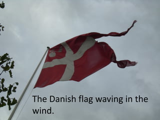 The Danish flag waving in the
wind.
 