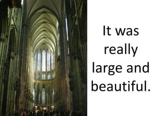 It was
  really
large and
beautiful.
 