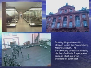 Slowing things down a bit, I stopped to visit the Senckenberg Nature Museum. The Senckenberg boasts an amazing display of artifacts & specimens; some of which are even available for purchase!  