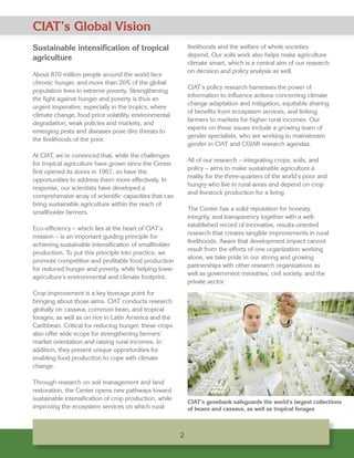 CIAT’s Partnership with Germany: Reducing hunger and poverty while lessening agriculture’s ecological and climate footprint
