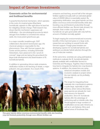 CIAT’s Partnership with Germany: Reducing hunger and poverty while lessening agriculture’s ecological and climate footprint