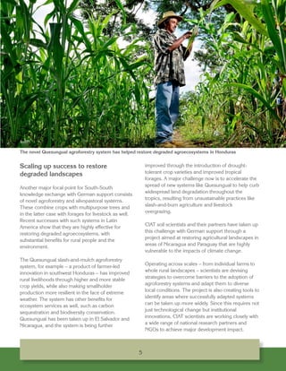 CIAT’s Partnership with Germany: Reducing hunger and poverty while lessening agriculture’s ecological and climate footprint