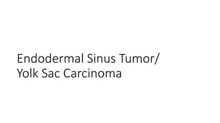 Endodermal Sinus Tumor/
Yolk Sac Carcinoma
 