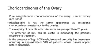 Choriocarcinoma of the Ovary
• Pure nongestational choriocarcinoma of the ovary is an extremely
rare tumor.
• Histologically, it has the same appearance as gestational
choriocarcinoma metastatic to the ovaries.
• The majority of patients with this cancer are younger than 20 years.
• The presence of hCG can be useful in monitoring the patient’s
response to treatment.
• In the presence of high hCG levels, isosexual precocity has been seen,
occurring in approximately 50% of patients whose tumors appear
before menarche.
 