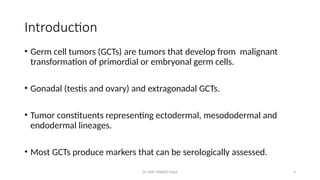 Comprehensive Overview of Germ Cell Tumors in Children: Diagnosis ...