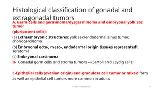 Comprehensive Overview of Germ Cell Tumors in Children: Diagnosis ...