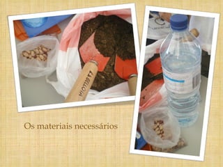 Os materiais necessários 