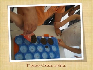 1º passo: Colocar a terra. 