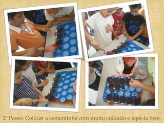 2º Passo: Colocar a sementinha com muito cuidado e tapá-la bem. 
