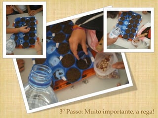 3º Passo: Muito importante, a rega! 