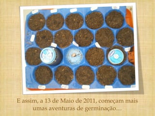 E assim, a 13 de Maio de 2011, começam mais umas aventuras de germinação… 