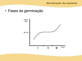 • Fases da germinação
 