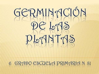 GERMINACIÓN
DE LAS
PLANTAS
6 GRADO ESCUELA PRIMARIA N 81

 