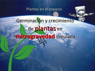 Plantas en el espacio
Germinación y crecimientoGerminación y crecimiento
dede plantasplantas enen
microgravedadmicrogravedad simuladasimulada
 