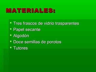 MATERIALES:

   Tres frascos de vidrio trasparentes
   Papel secante
   Algodón
   Doce semillas de porotos
   Tutores
 