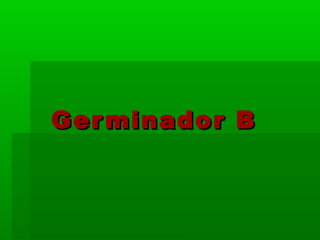 Ger minador B
 