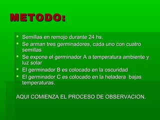 METODO:
 Semillas en remojo durante 24 hs.
 Se arman tres germinadores, cada uno con cuatro
  semillas
 Se expone el germinador A a temperatura ambiente y
  luz solar
 El germinador B es colocado en la oscuridad
 El germinador C es colocado en la heladera bajas
  temperaturas.

AQUI COMIENZA EL PROCESO DE OBSERVACION.
 