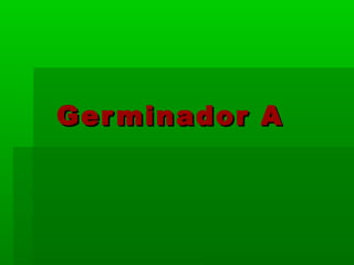 Ger minador A
 