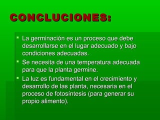 CONCLUCIONES:
 La germinación es un proceso que debe
  desarrollarse en el lugar adecuado y bajo
  condiciones adecuadas.
 Se necesita de una temperatura adecuada
  para que la planta germine.
 La luz es fundamental en el crecimiento y
  desarrollo de las planta, necesaria en el
  proceso de fotosíntesis (para generar su
  propio alimento).
 