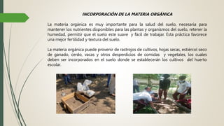 INCORPORACIÓN DE LA MATERIA ORGÁNICA
La materia orgánica es muy importante para la salud del suelo, necesaria para
mantener los nutrientes disponibles para las plantas y organismos del suelo, retener la
humedad, permitir que el suelo este suave y fácil de trabajar. Esta práctica favorece
una mejor fertilidad y textura del suelo.
La materia orgánica puede provenir de rastrojos de cultivos, hojas secas, estiércol seco
de ganado, cerdo, vacas y otros desperdicios de comidas y vegetales, los cuales
deben ser incorporados en el suelo donde se establecerán los cultivos del huerto
escolar.
 