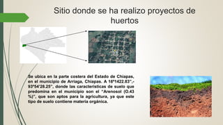 Sitio donde se ha realizo proyectos de
huertos
Se ubica en la parte costera del Estado de Chiapas,
en el municipio de Arriaga, Chiapas. A 16º1422.83”,-
93º54’28.25”, donde las características de suelo que
predomina en el municipio son el “Arenosol (O.43
%)”, que son aptos para la agricultura, ya que este
tipo de suelo contiene materia orgánica.
 