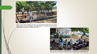 Foto 7.- En el vivero municipal con apoyo de una empresa Parque Eólica de Arriaga
Grupo Dragón, y de los viveristas se ha desarrollado un invernadero para prácticas
presenciales a todo publico y expandir las réplicas.
Foto 8.- Se ha llevado las capacitaciones a 5 primarias, 4 secundarias, dos
preparatorias y dos carreras universitarias, de forma presencial con teoría y practica.
 