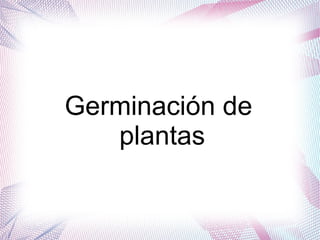 Germinación de
plantas
 
